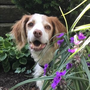 Meet your Posher, Vera